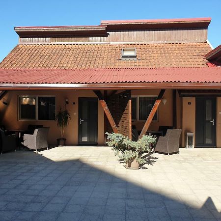 Irina Apartments Temeşvar Dış mekan fotoğraf