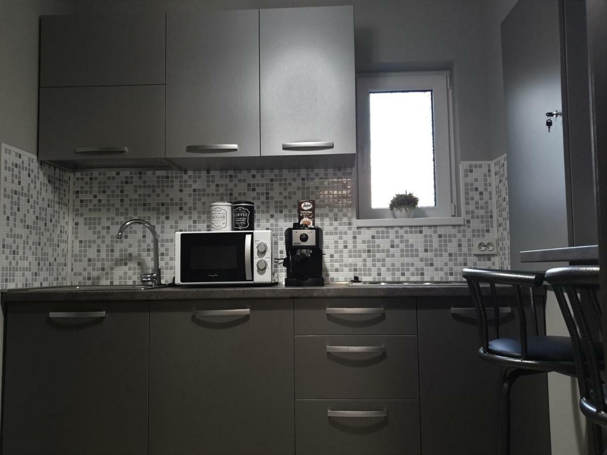 Irina Apartments Temeşvar Dış mekan fotoğraf